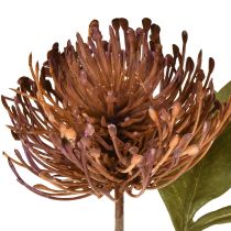 Artikel Protea künstlich Nadelkissen Leucospermum Lila 30cm 6 St