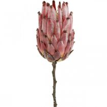Künstliche Protea Rot Exotische Kunstblume H55cm