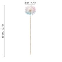 Artikel Pusteblume Trockenblume elegant langlebig pflegeleicht 50cm 4St