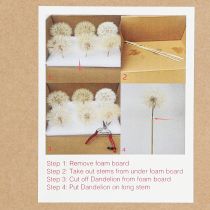 Artikel Deko-Pusteblume aus getrockneten Naturmaterialien Ø11cm Weiss 6er-Set für Innenbereich