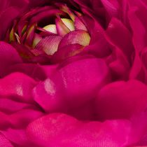 Artikel Künstliche Ranunkel 51cm in Pink, 3er-Set für wohnliche Dekoration