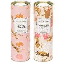 Artikel Raumduft Diffuser aus Glas 19cm 2er-Set Mango und Kokos für den Innenbereich