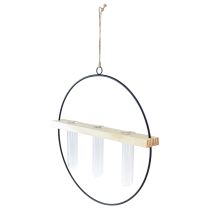 Artikel Reagenzglas Deko Vase, Metallring, Schwarz, Hängend, Modern