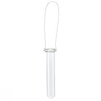 Reagenzglas Deko Glas zum Hängen Minivase Ø2,4cm H22,5cm