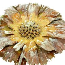 Artikel Repens Rosette Holzblüten Ø8–9cm Grün gefrostet 25 Stück