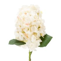 Artikel Künstliche Hortensie 62 cm Weiss-Beige aus Polyester und Kunststoff für Wohnraumdekoration