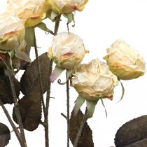 Künstliche Rosen verwelkt Drylook 9 Blüten Creme 69cm