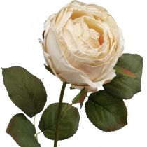Artikel Künstliche Rose aus Seidenstoff, cremefarben, mit grünem Blattwerk, Länge 74 cm, Blütendurchmesser 7 cm