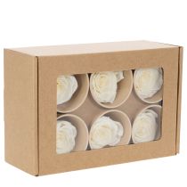 Artikel Konservierte Rosenköpfe Weiss 5cm 6 Stück für Dekoration