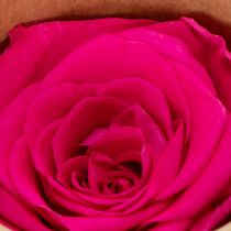 Artikel Konservierte Rosen Rosa 5cm 6 Stück für Tischdekoration