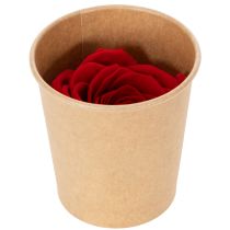 Artikel Konservierte Rosen Rot 5 cm Ø 6er-Set für Dekoration und Geschenke