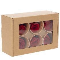 Artikel Konservierte Rosen Rot 5 cm Ø 6er-Set für Dekoration und Geschenke
