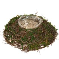 Artikel Runde Pflanzschale aus Reben mit Moos und Folie zur Dekoration