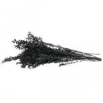Artikel Ruscus Zweige Dekozweige Trockenblumen Schwarz 200g