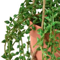 Artikel Künstliche Sukkulenten hängend Kunstpflanze im Topf 34cm