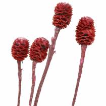 Artikel Dekozweige Sabulosum Rot gefrostet 4-6 25St