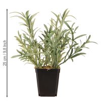 Artikel Salbei im Topf Salvia Lavandulifolia Künstlich H25cm