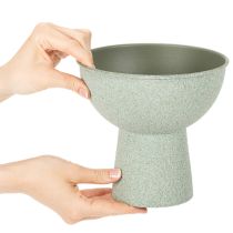 Artikel Pflanzschale aus Metall auf hohem Fuss rund Hellgrün 18cm
