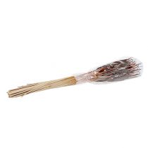 Artikel Schilfkolben Braun 75 cm 100 Stück Naturprodukt