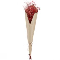 Artikel Schleierkraut Trockenblumen Rot, 50cm, 55g – Dekoration für Innenräume und Kreativprojekte