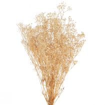 Artikel Schleierkraut Rispiges Gipskraut Weiße Blüten 50cm 55g