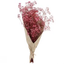 Artikel Trockenblumen Schleierkraut Berry 50cm 55g für Dekoration