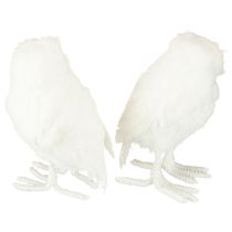 Artikel Dekofigur Eule aus Styropor mit Fell und Federn, Weiss, 15,5 cm, 2er-Set