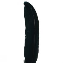 Artikel Schwarze Federn Deko Gänsefedern Schwarz 11-14cm 180St