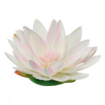 Artikel Schwimmende Seerosen künstlich Tischdeko Weiß, Rosa Ø15cm 2St