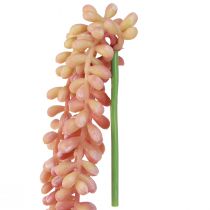 Artikel Sedum Rubin Hängepflanze Kunstdeko 43cm 3er-Set Rosa-Grün