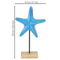 Artikel Seestern-Dekoration aus Mangoholz auf Sockel, Blau, Höhe 25 cm