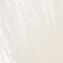 Artikel Trockenblumen Silbergras Weiss 70cm Natürliche Dekoration Innenbereich 10 Stück