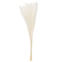 Artikel Trockenblumen Silbergras Weiss 70cm Natürliche Dekoration Innenbereich 10 Stück