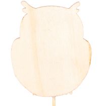 Artikel Pflanzenstecker Holz-Eulen 12er-Set, 31 cm, bunte Herbstdeko