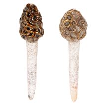 Artikel Künstlicher Morchel-Pilz aus Keramik im 2er-Set, 13 cm, Braun