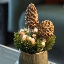 Artikel Künstlicher Morchel-Pilz aus Keramik im 2er-Set, 13 cm, Braun