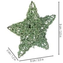 Artikel Deko Stern grün Drahtstern Set 10cm und 7cm 12 Stück