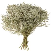 Artikel Trockenblumen Strandflieder Statice 2kg Naturdeko