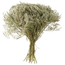 Artikel Trockenblumen Strandflieder 2kg weiss Naturfarben für Gestecke und Dekoration