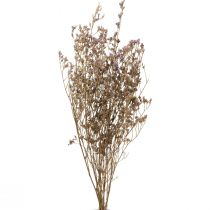 Strandflieder Limonium Trockenblumen Lila 70cm 50g