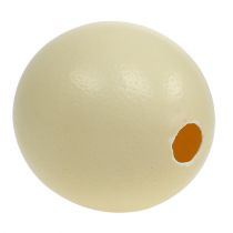 Artikel Straußenei ausgeblasen Natur, Ø ca. 12 cm, Dekoration