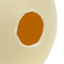 Artikel Straußenei ausgeblasen Natur, Ø ca. 12 cm, Dekoration