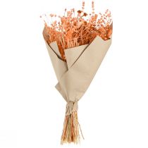 Artikel Boho Trockenblumenstrauss 45cm Orange Apricot für Innen-Deko