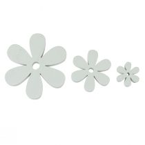 Streudeko Holz Tischdeko Weiß Blumen Ø2cm–6cm 20St
