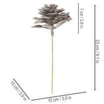 Artikel Künstliche Sukkulenten aus Wachs grau-grün 10 cm Set 6 Stück