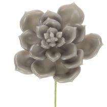 Artikel Künstliche Sukkulenten aus Wachs mit Drahtkern, 8 cm, graugrün, 8er-Set