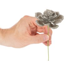 Artikel Künstliche Sukkulenten aus Wachs mit Drahtkern, 8 cm, graugrün, 8er-Set