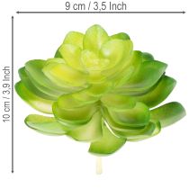 Artikel Künstliche Sukkulenten grün 10 cm Set 4 Stück für Schale oder Vase