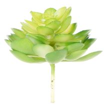 Artikel Künstliche Sukkulenten grün 10 cm Set 4 Stück für Schale oder Vase