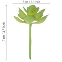 Artikel Künstliche Sukkulente grün aus Kunststoff 9 cm für Innenräume